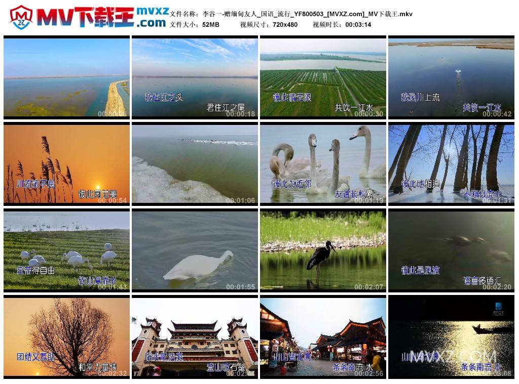 李谷一-赠缅甸友人_国语_流行_YF800503